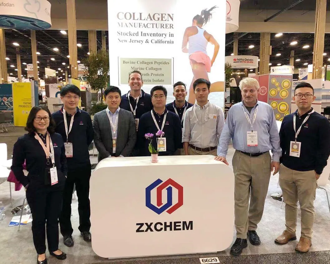 1692946547-exhibition-zxchem